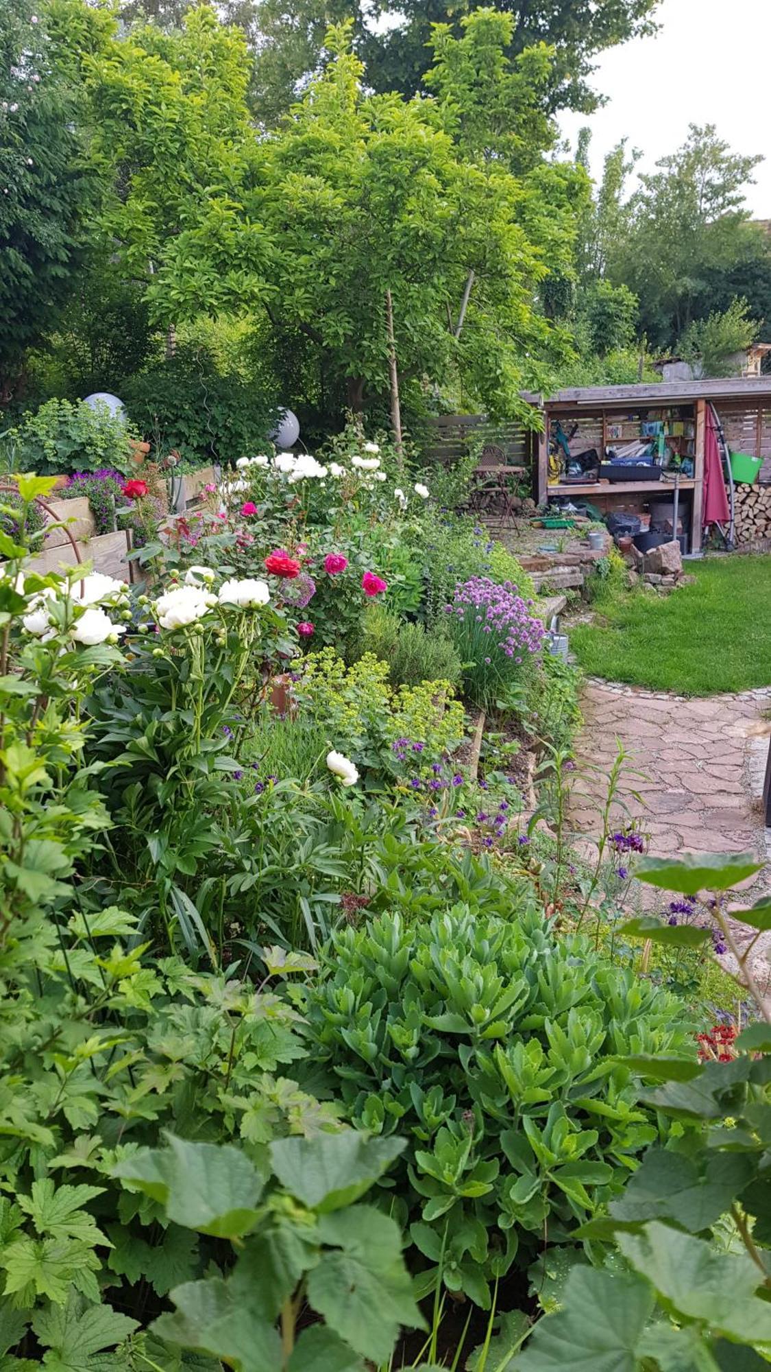 Wohnung Mit Sauna, Garten & Schwimmteich Bietigheim-Bissingen Dış mekan fotoğraf