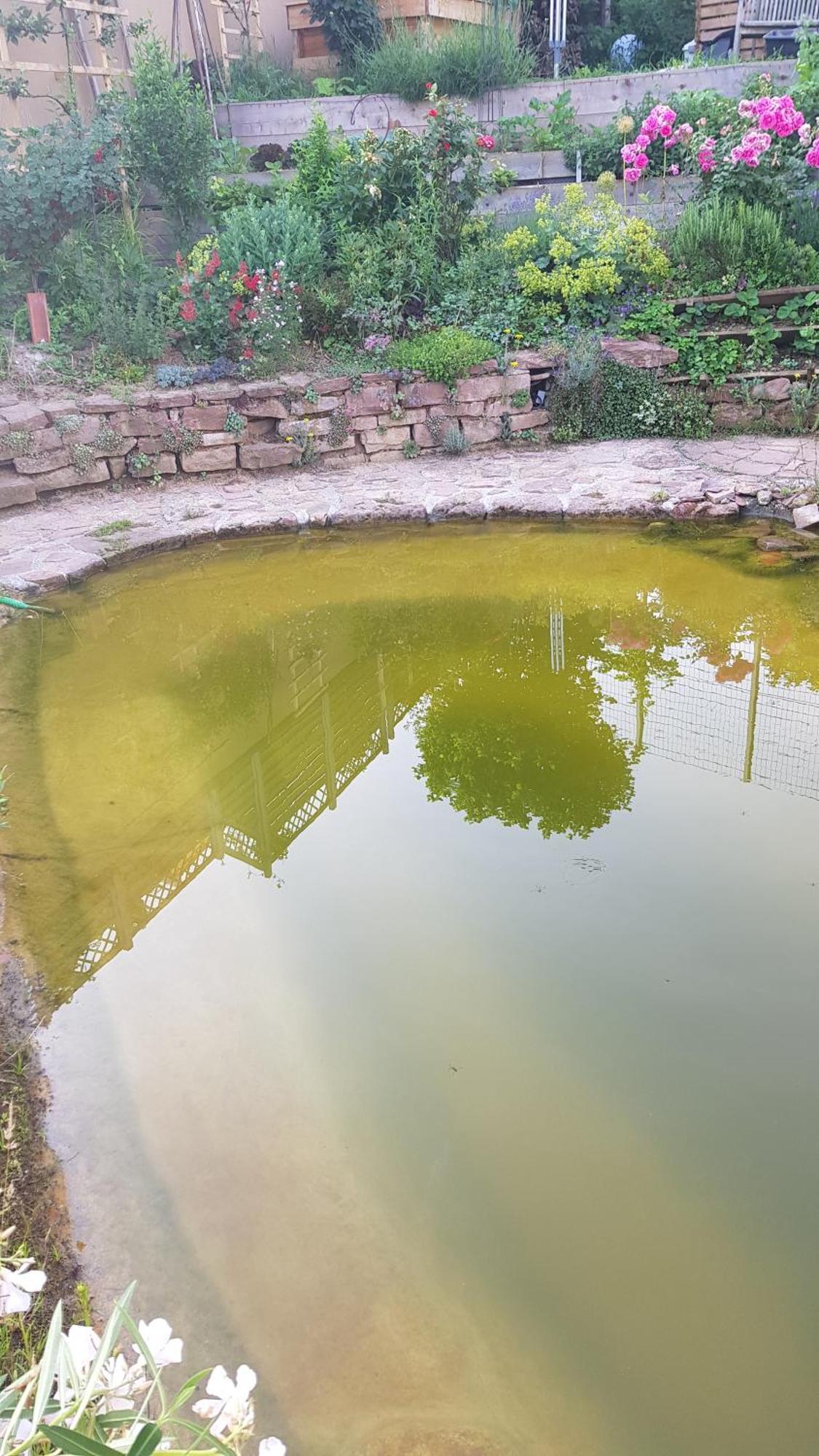 Wohnung Mit Sauna, Garten & Schwimmteich Bietigheim-Bissingen Dış mekan fotoğraf