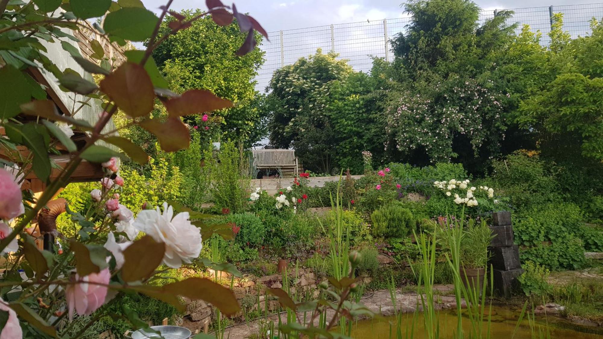 Wohnung Mit Sauna, Garten & Schwimmteich Bietigheim-Bissingen Dış mekan fotoğraf