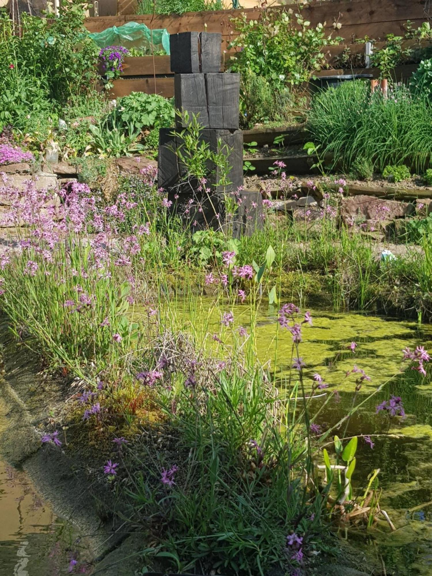 Wohnung Mit Sauna, Garten & Schwimmteich Bietigheim-Bissingen Dış mekan fotoğraf