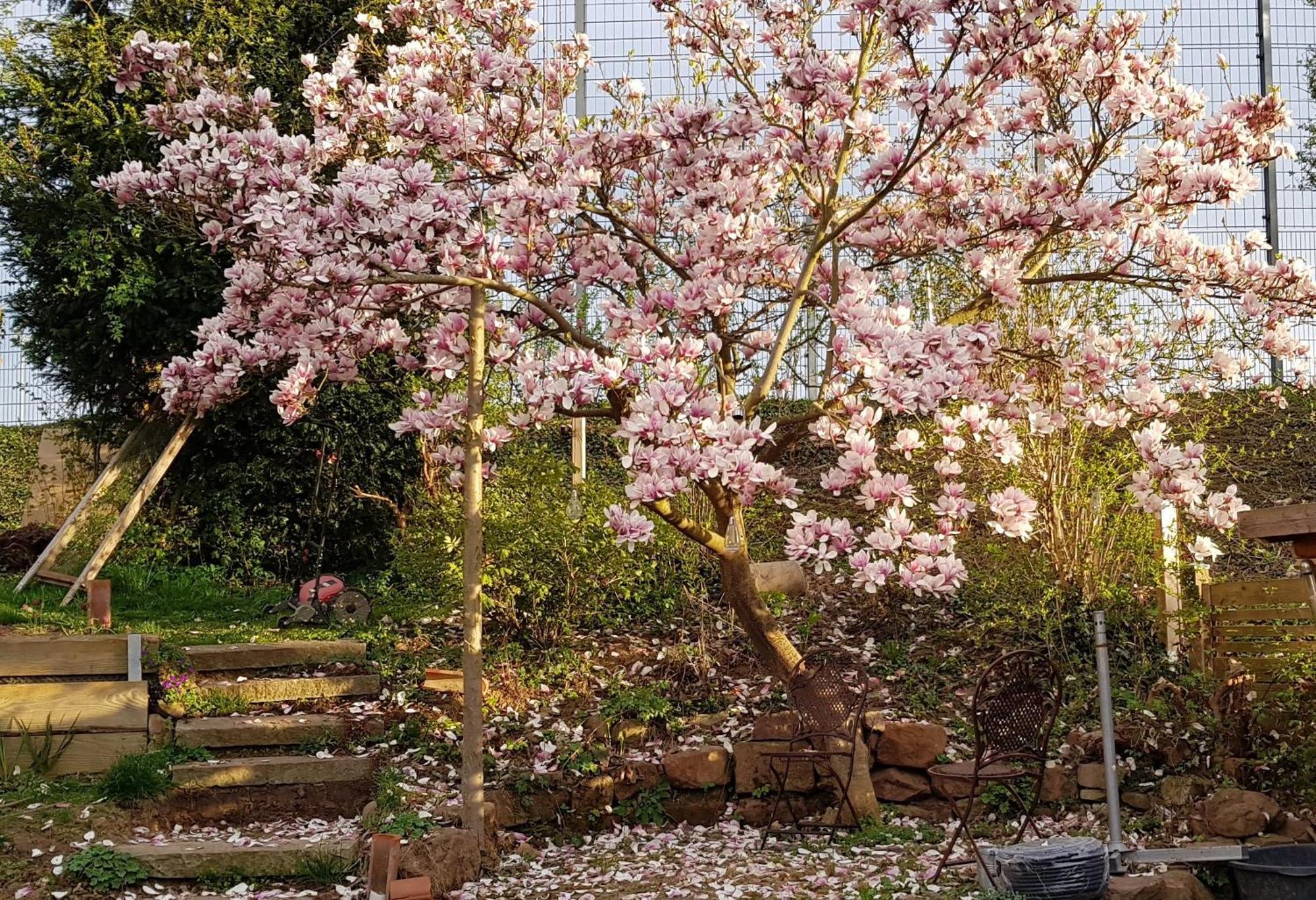 Wohnung Mit Sauna, Garten & Schwimmteich Bietigheim-Bissingen Dış mekan fotoğraf